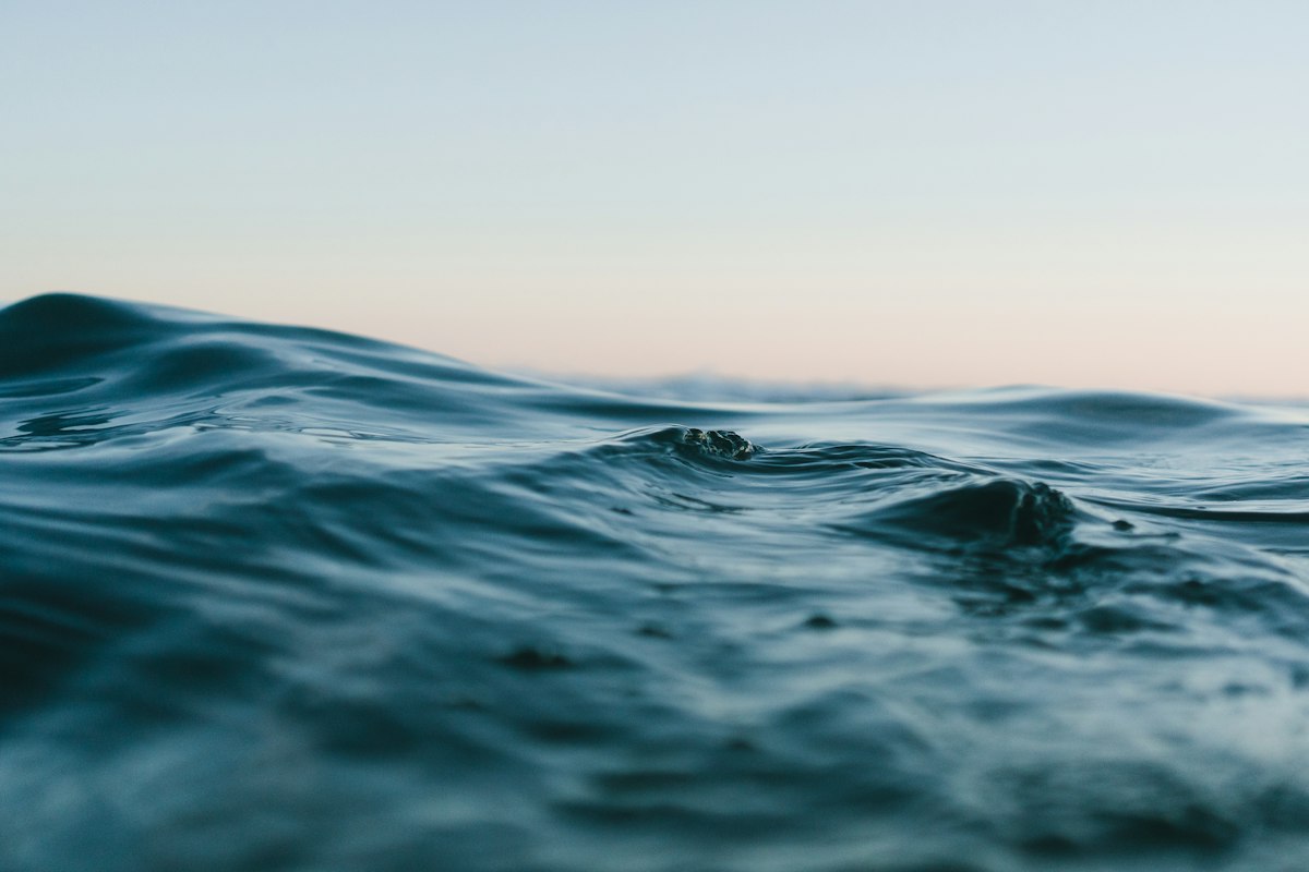 The New Frontier in Sub-Saharan Aquaculture: Modernizing Recirculatory & Flow-Through Systems